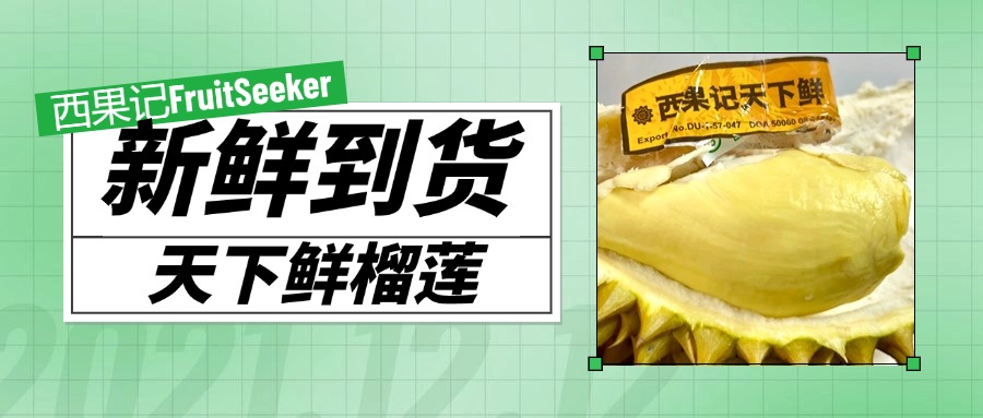 预览图