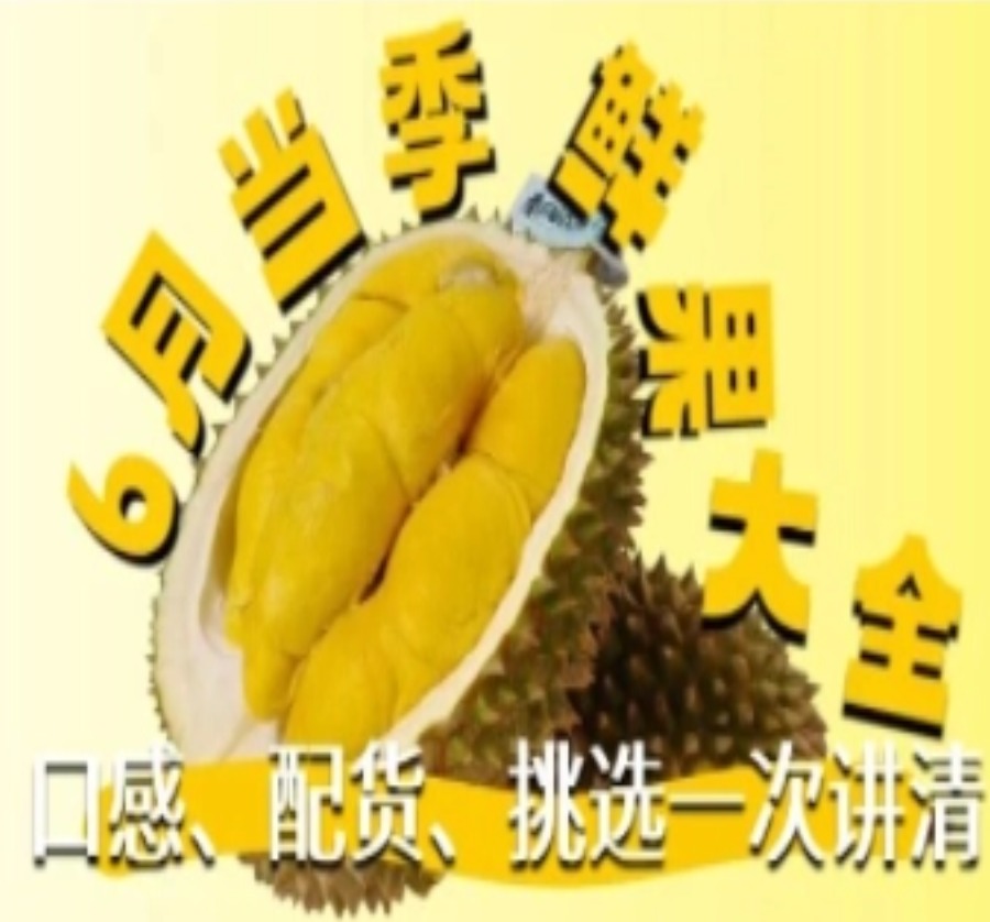 预览图